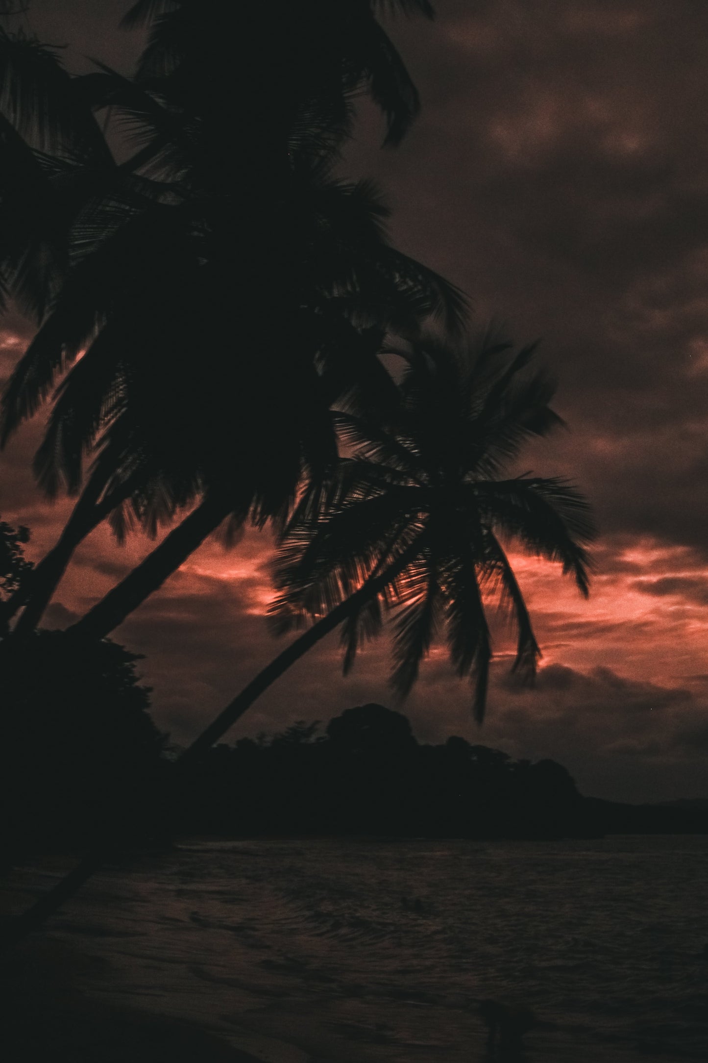 Fire sky - Portrait